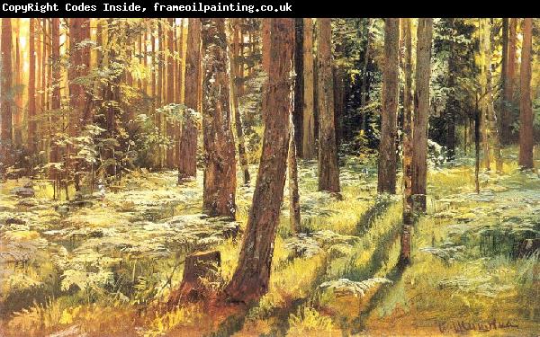 Ivan Shishkin Ferns in a Forest